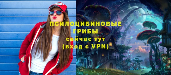 МДПВ Осташков