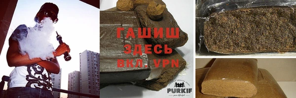 прущие грибы Мегион