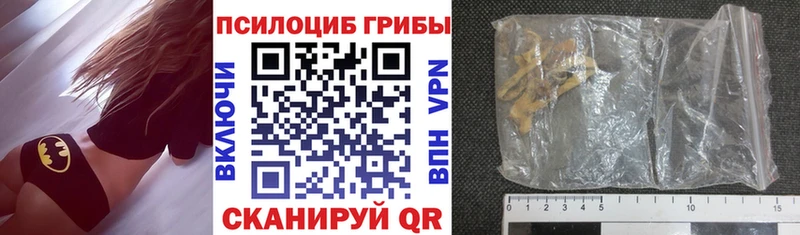 Псилоцибиновые грибы Psilocybe  OMG ссылки  Харовск  наркота 